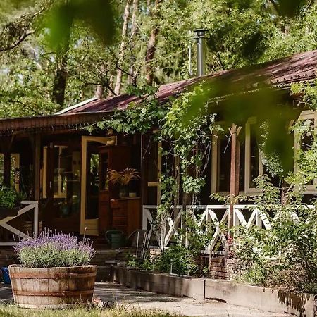 Forest Cottage With Lovely Garden & Sauna Doornspijk Exterior foto