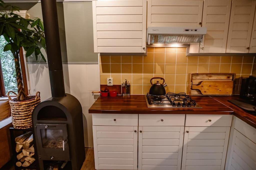 Forest Cottage With Lovely Garden & Sauna Doornspijk Exterior foto