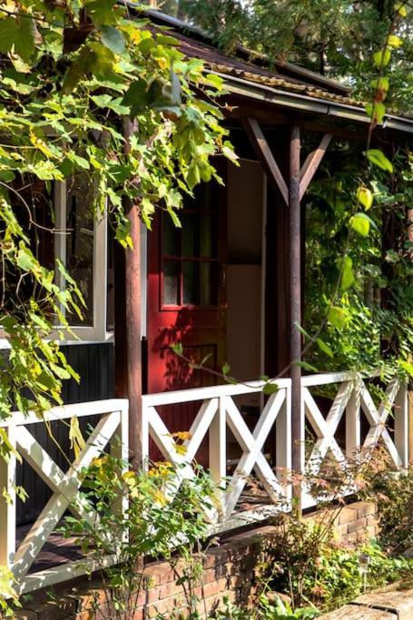 Forest Cottage With Lovely Garden & Sauna Doornspijk Exterior foto